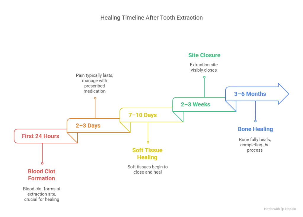 Healing Timeline After Tooth Extraction at The Tooth Company Jubilee Hills